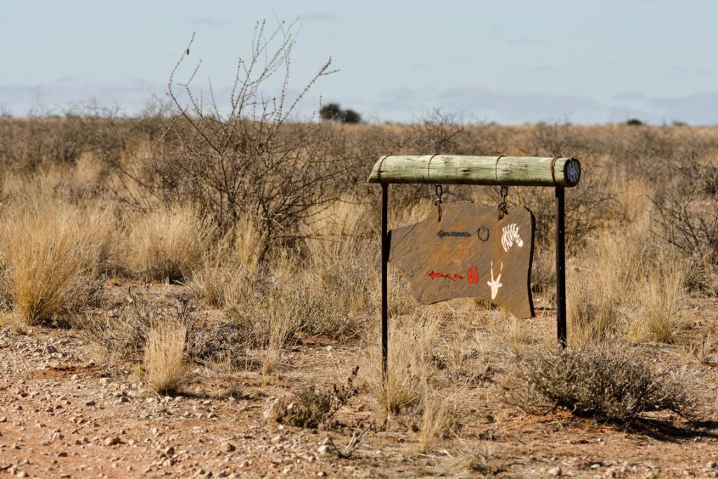 Wandermarkierung in der Kalahari