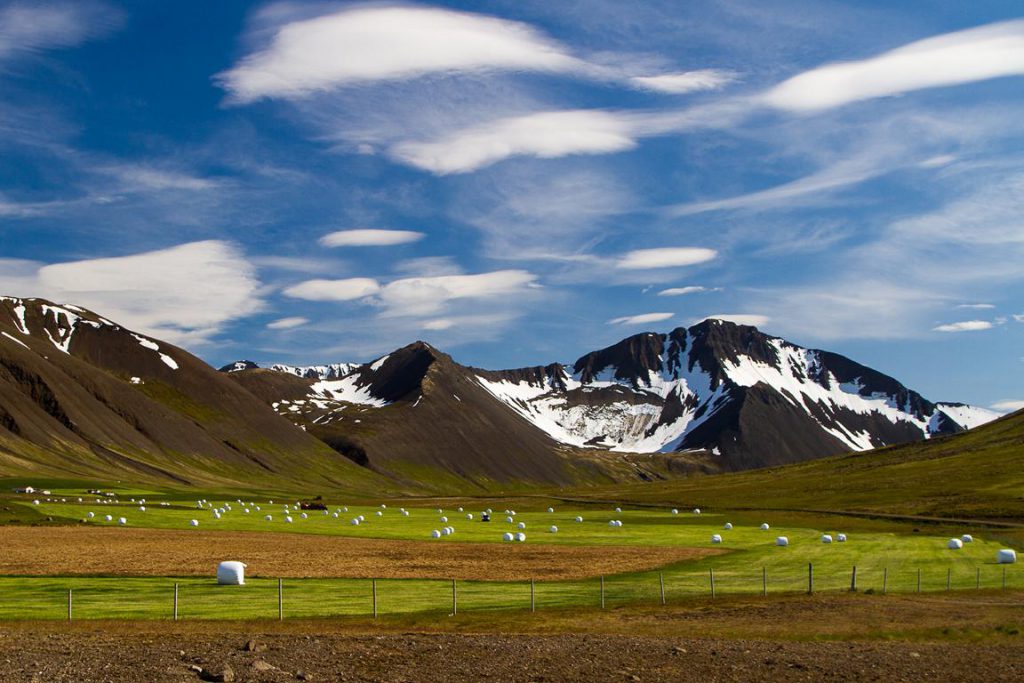 Landwirschaft in Island