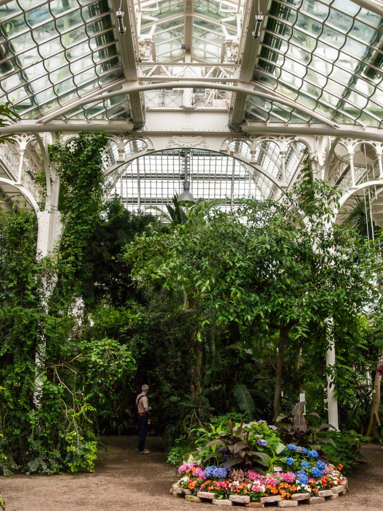 Palmenhaus von innen