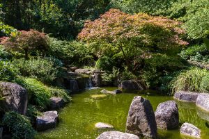 Wasserlauf Japanischer Garten