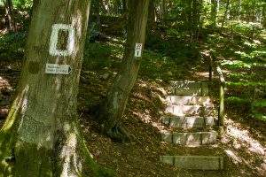 Treppen im Wald