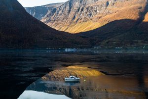 Spiegelung im Fjord mit Eis