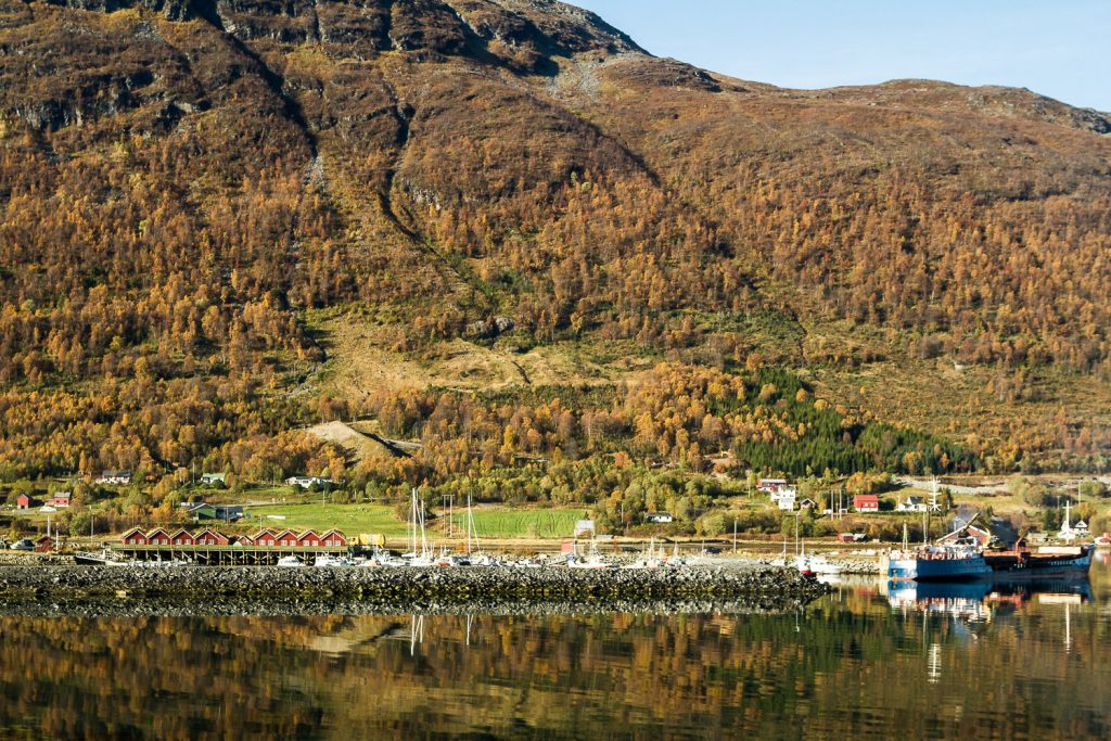 Dorf am Fjord