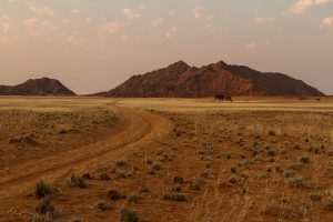 Berg und Fahrspur im Abendlicht