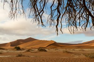 Blick zurück in Richtung Dead Vlei