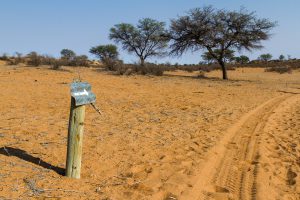 Wegweise in der Kalahari