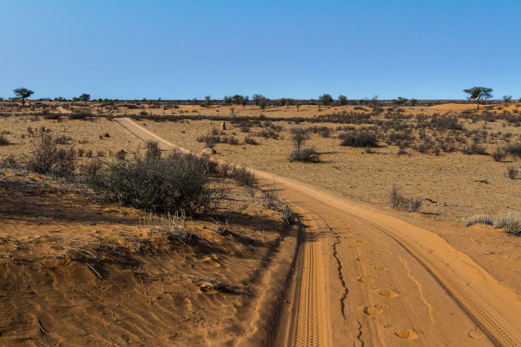Wanderweg durch die Kalahari