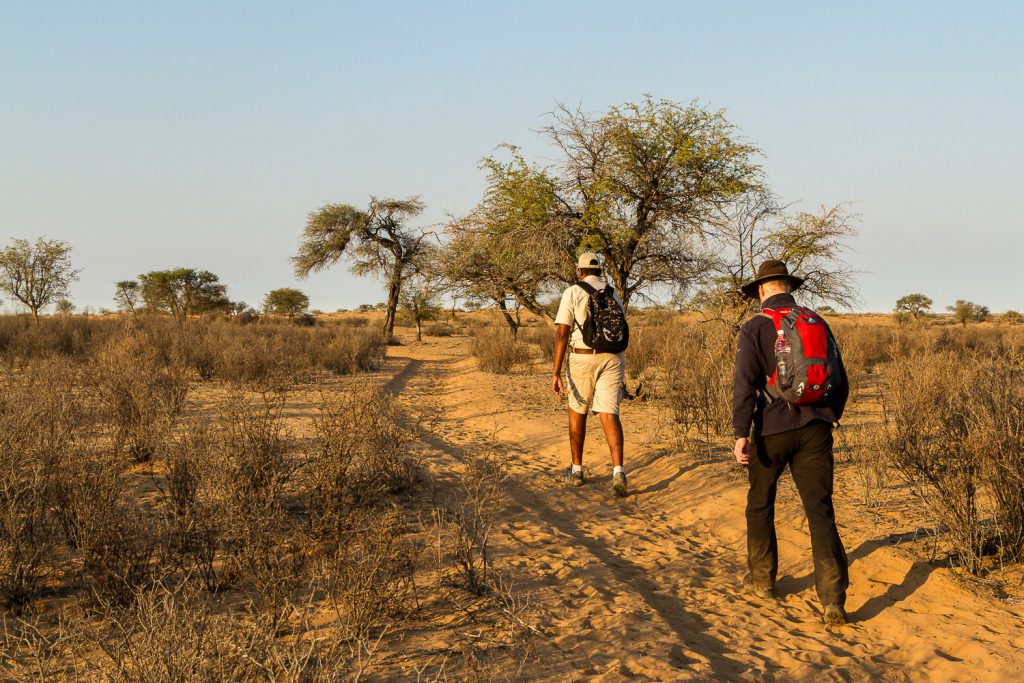 Wanderer in der Kalahari