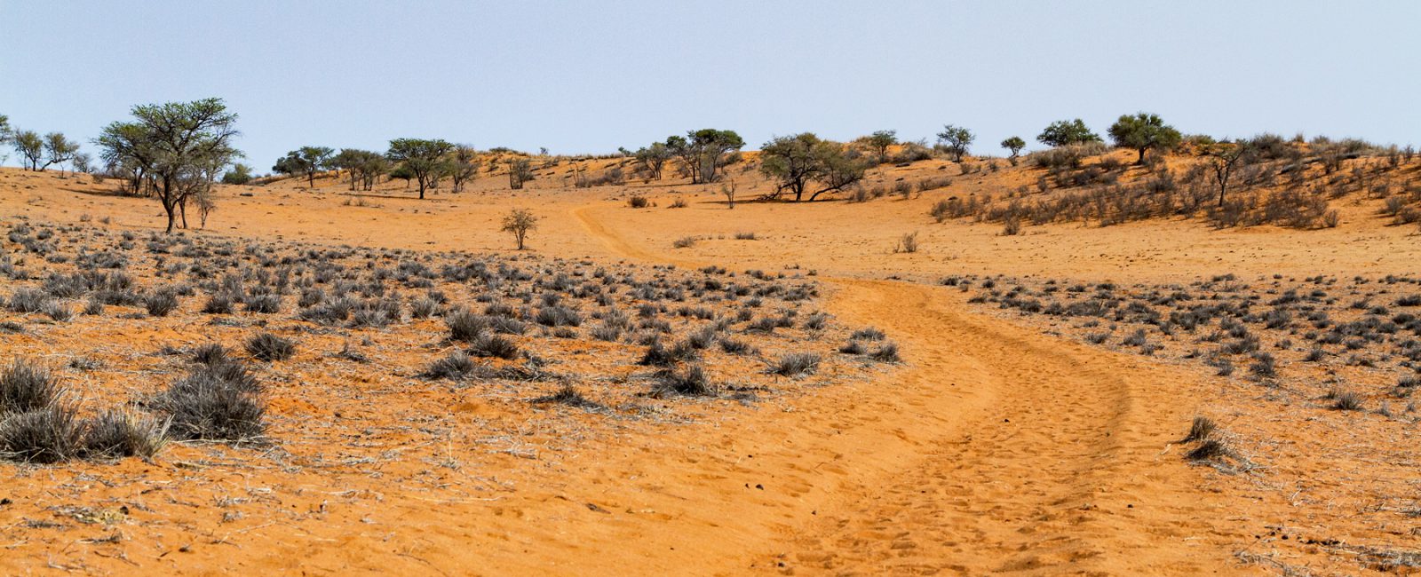 Trans Kalahari Walk