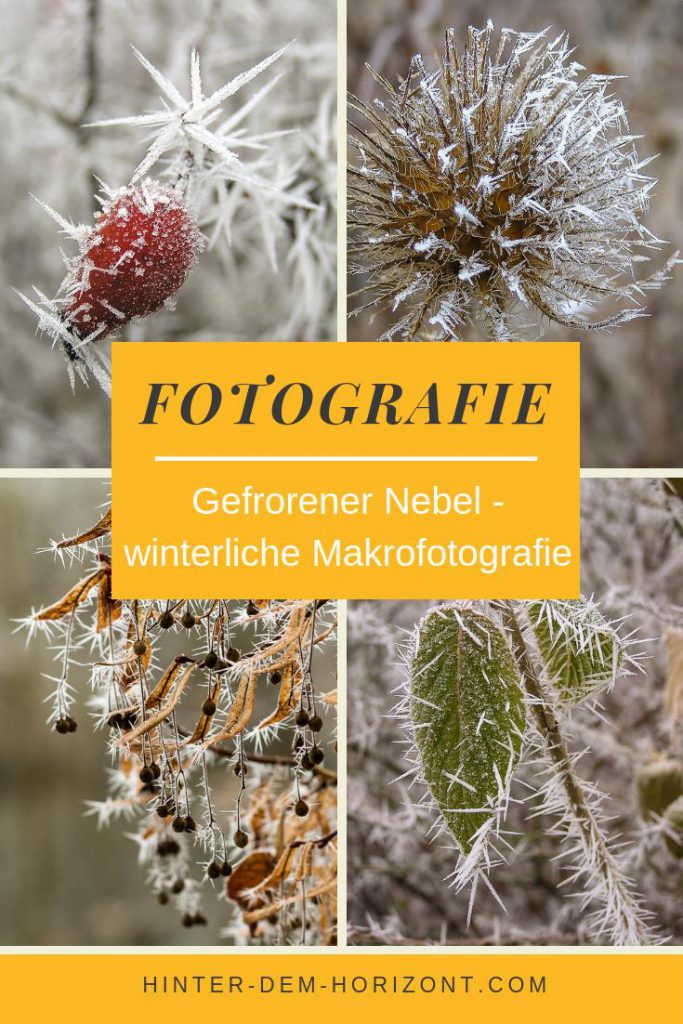 Trifft Nebel auf Frost, entsteht gefrorener Nebel, welche die Landschaft mit einem weißen, bizarren Teppich überziehen. Perfekte Motive für Makrofotografie im Winter.