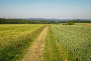 Wandern Im Taubertal - LT8 Welzbachtal - Hinter Dem Horizont