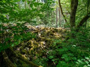 Wandern Im Taubertal - LT8 Welzbachtal - Hinter Dem Horizont