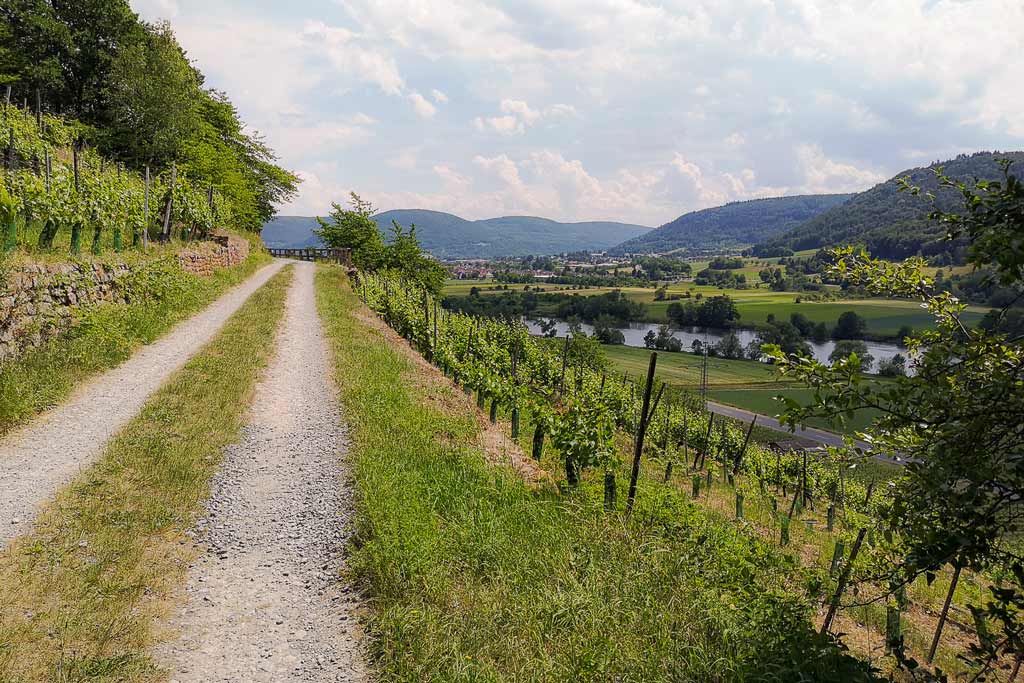 Fränkischer Rotweinwanderweg