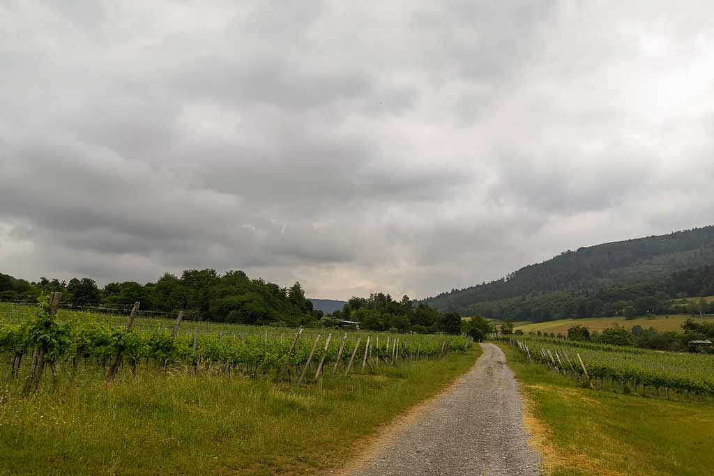 Fränkischer Rotweinwanderweg