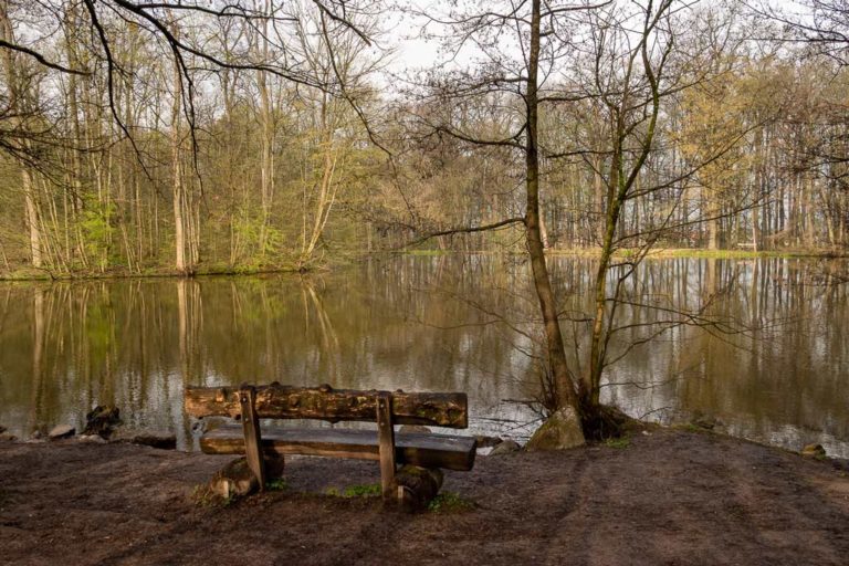 Der Qualitätsweg Spessartweg 1 - Etappe 1 - Hinter Dem Horizont