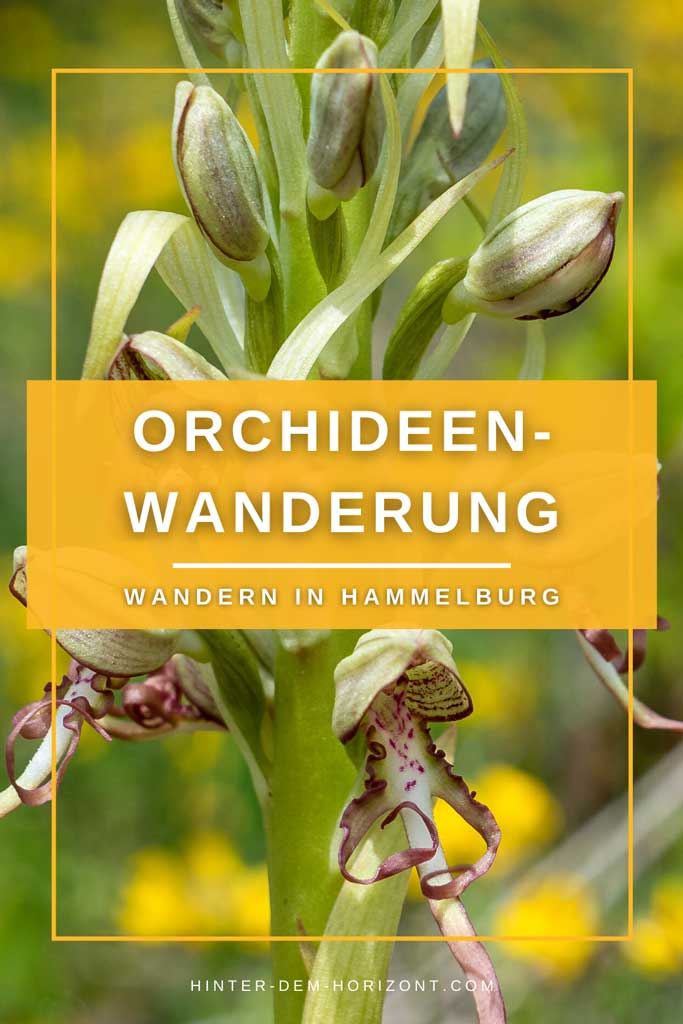 Orchideen-Wanderung in Hammelburg