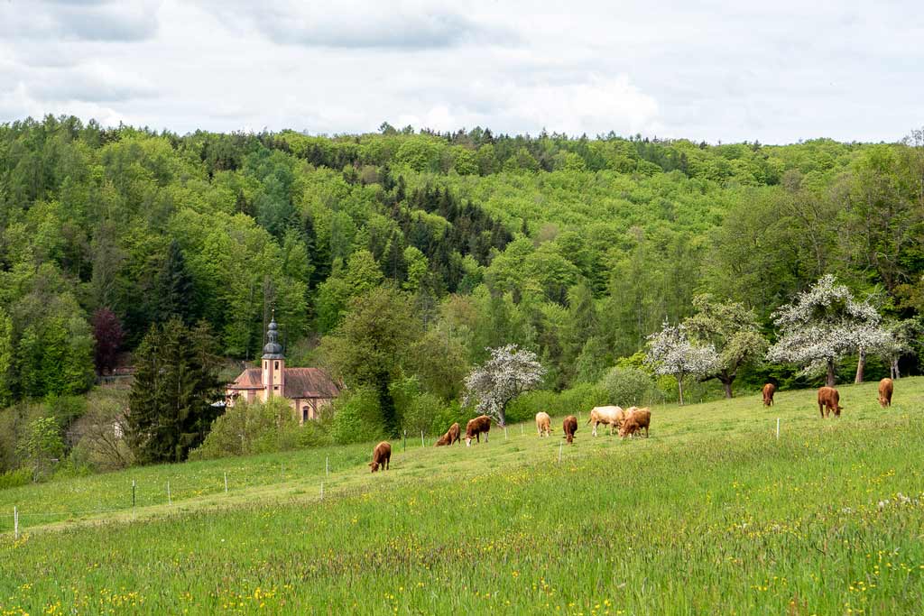 Spessartweg 1 Etappe 3