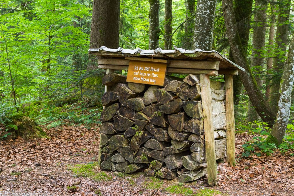 Brennholz