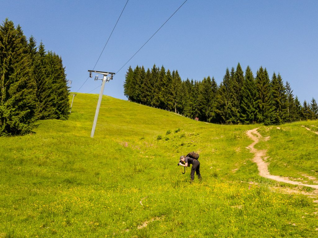Vor der Moos-Alpe