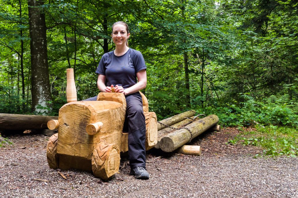 Spielplatz? Holztraktor