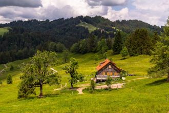 Alpe Neugschwend