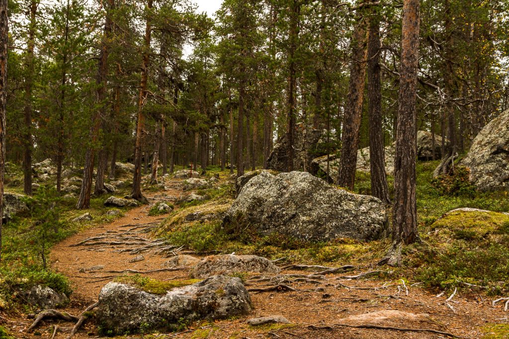 Wanderweg zur Wildniskirche