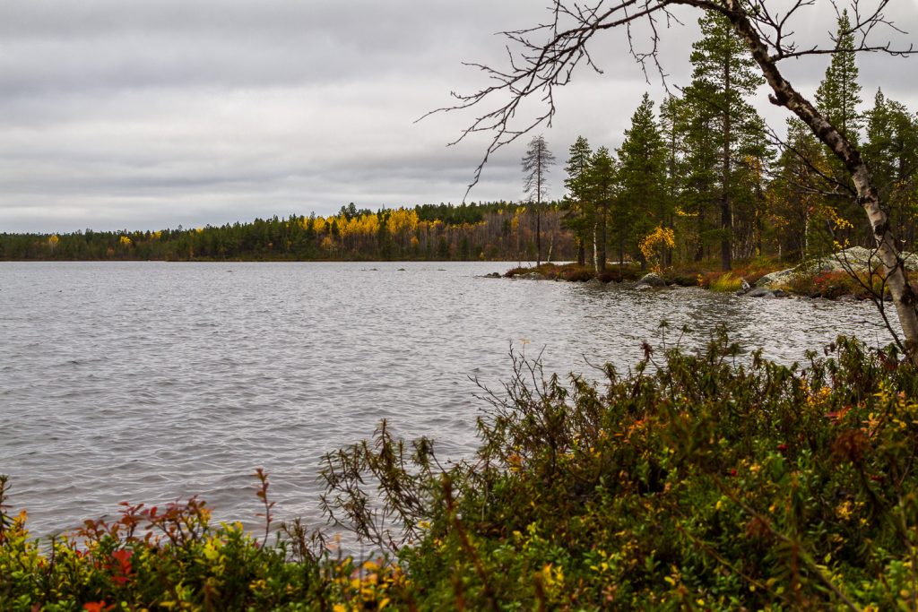 Wanderweg am See