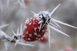 Gefrorener Nebel