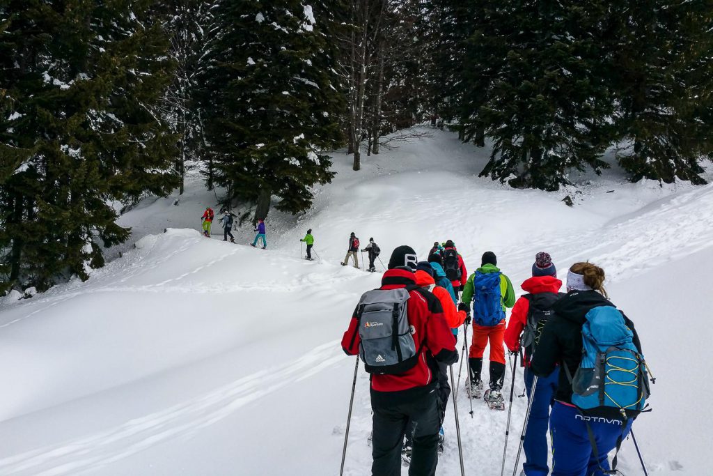die Schneeschuh-Karawane zieht in den Wald
