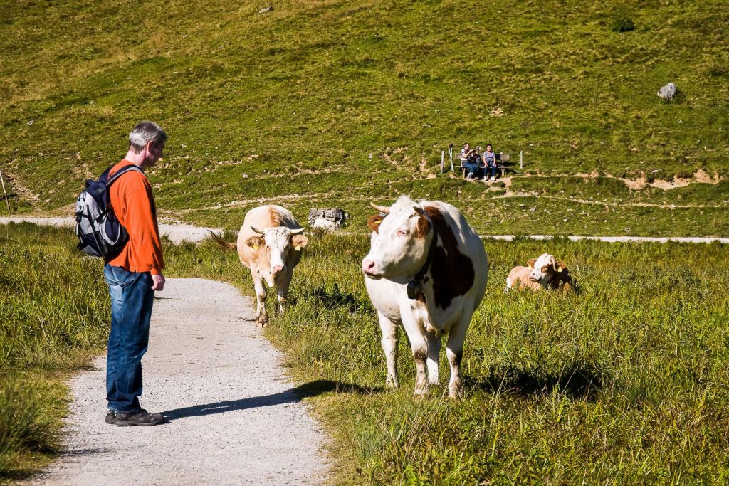 auf Reisen wandern