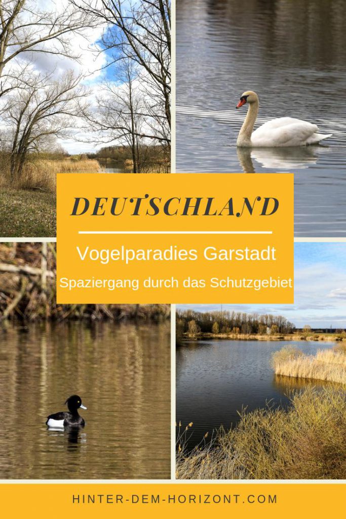 Vogelbeobachtung Bayern ist beispielsweise im Vogelschutzgebiet Garstadt möglich. Das Naturparadies bietet einen Wanderweg zum Wandern in Bayern, Wandern in Franken #wandern #vögel #vogelbeobachtung #naturschutz