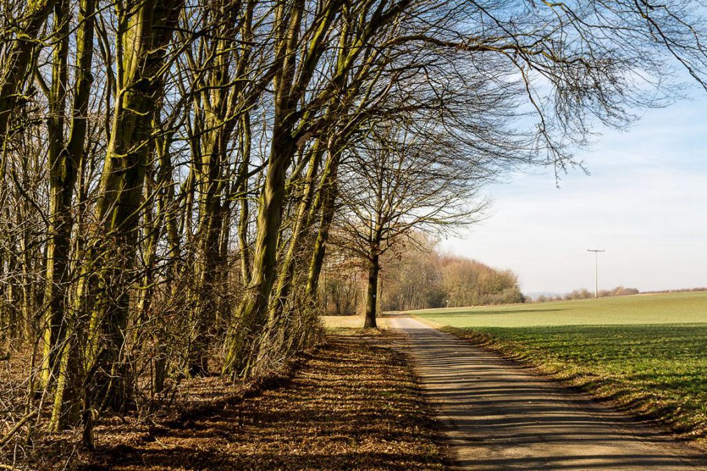 Kulturlandschaft am Wanderweg