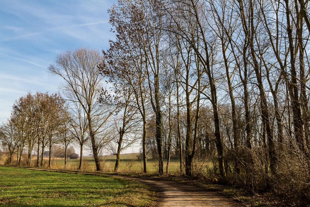 Landschaft entlang des Weges