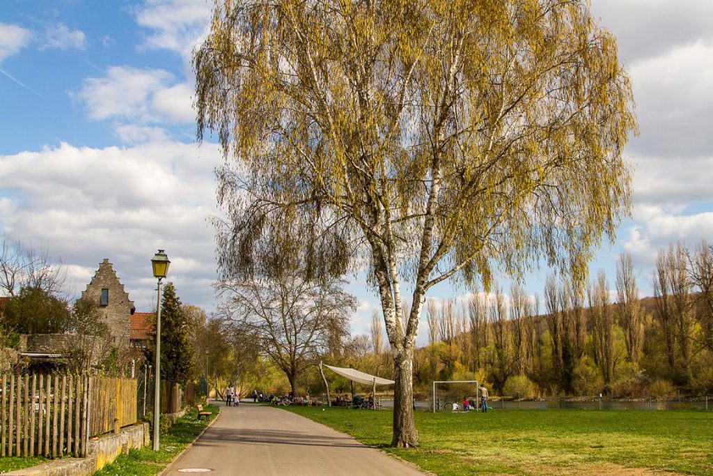Mainpromenade Frickenhausen malerische Orte im Maindreieck