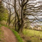 Der Qualitätsweg Spessartweg 1 - Etappe 2 - Reiseblog Hinter Dem Horizont