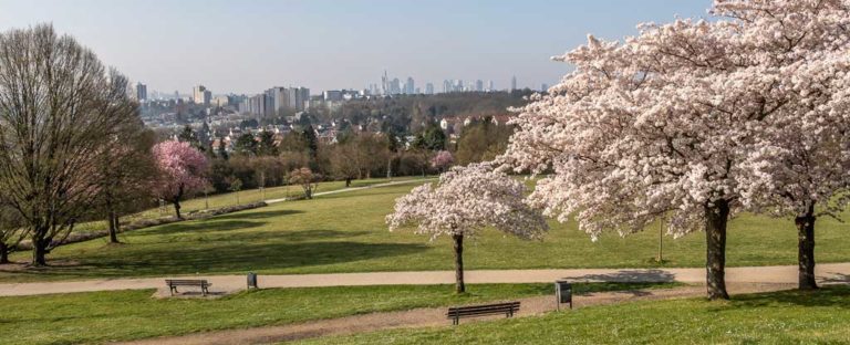 Einmal um die Stadt GrünGürtel Frankfurt Hinter dem Horizont