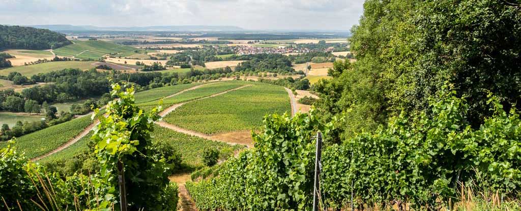 Wandern in Handthal zwischen Wald & Wein Hinter dem Horizont