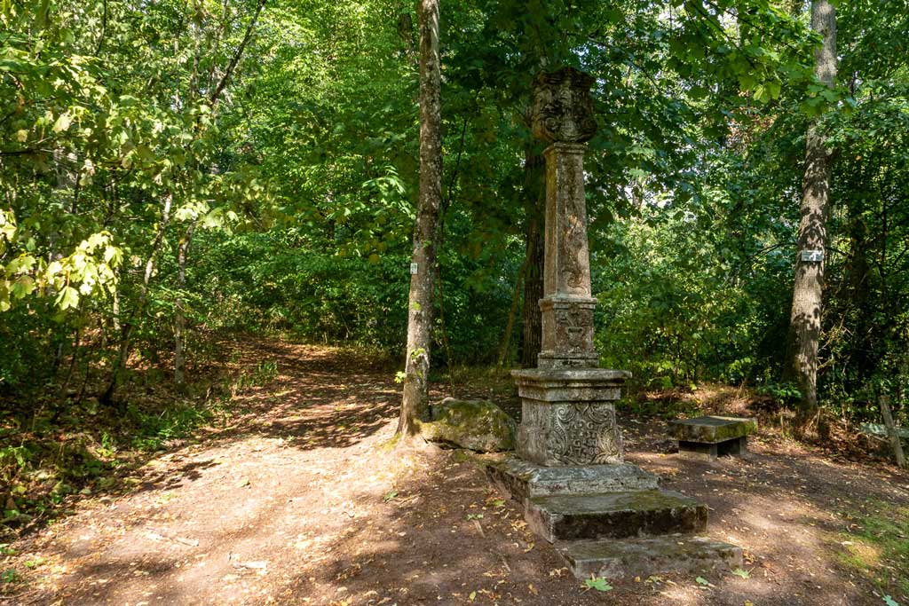 Wandern in Handthal zwischen Wald & Wein Hinter dem Horizont