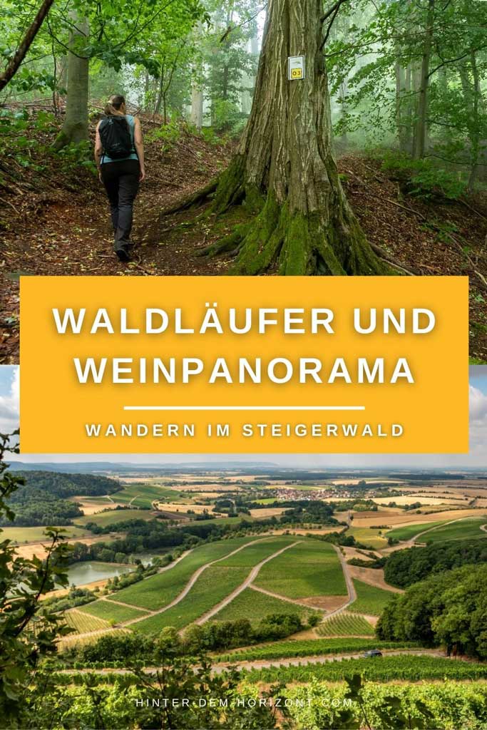 Wandern in Handthal zwischen Wald & Wein Hinter dem Horizont